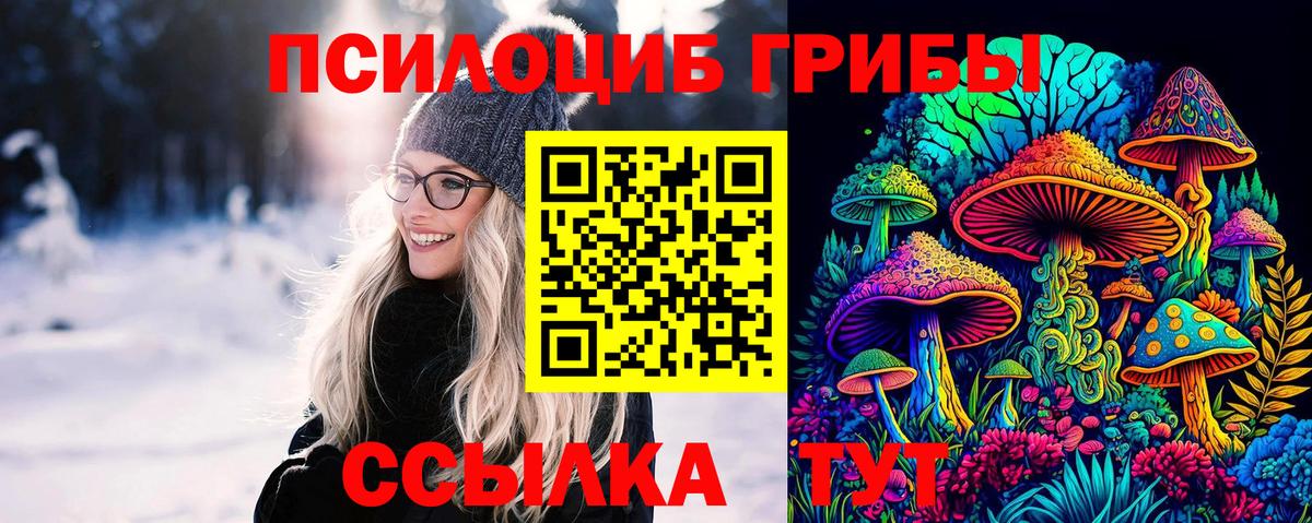 наркота  Галлюциногенные грибы GOLDEN TEACHER  Вход с VPN  Великие Луки 